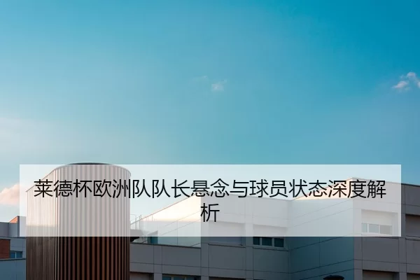 lai-de-bei-ou-zhou-dui-dui-zhang-xuan-nian-yu-qiu-yuan-zhuang-tai-shen-du-jie-xi-2-326.jpg