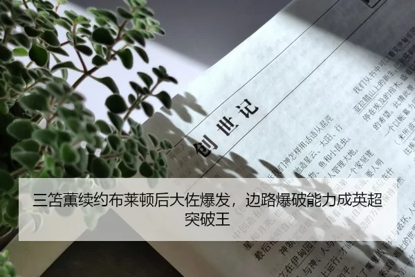 三笘薫续约布莱顿后大佐爆发，边路爆破能力成英超突破王