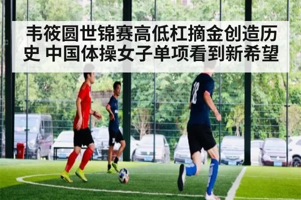 韦筱圆世锦赛高低杠摘金创造历史 中国体操女子单项看到新希望